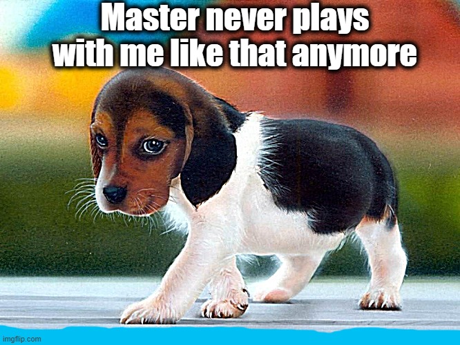 Master never plays with me like that anymore | made w/ Imgflip meme maker