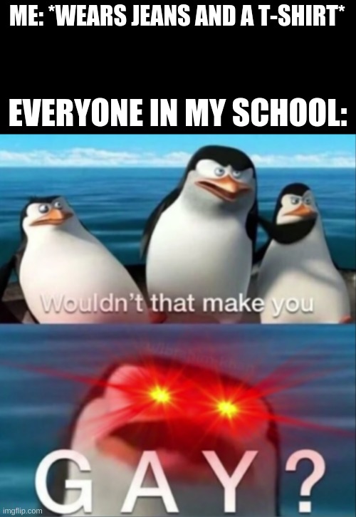 Wouldn't that make you gay | ME: *WEARS JEANS AND A T-SHIRT*; EVERYONE IN MY SCHOOL: | image tagged in wouldn't that make you gay | made w/ Imgflip meme maker