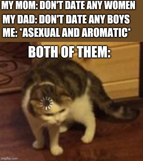 Loading cat | MY MOM: DON'T DATE ANY WOMEN; MY DAD: DON'T DATE ANY BOYS; ME: *ASEXUAL AND AROMATIC*; BOTH OF THEM: | image tagged in loading cat | made w/ Imgflip meme maker