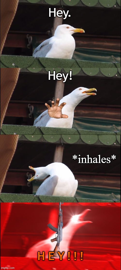Inhaling Seagull Meme | Hey. Hey! *inhales*; H E Y ! ! ! | image tagged in memes,inhaling seagull,bruh moment,roblox,first world problems | made w/ Imgflip meme maker