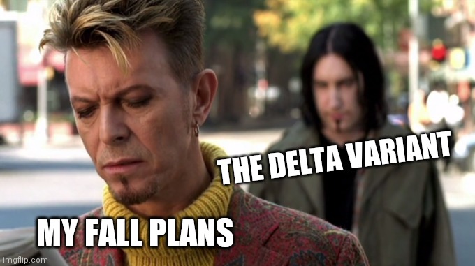 I'm afraid of the variant | THE DELTA VARIANT; MY FALL PLANS | image tagged in funny | made w/ Imgflip meme maker