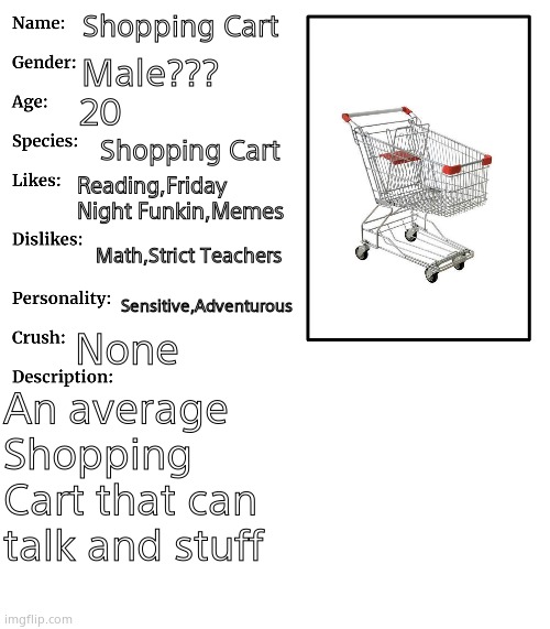 OC thing(mainly based on me besides the age and the shopping cart stuff cuz me not shopping cart) | Shopping Cart; Male??? 20; Shopping Cart; Reading,Friday Night Funkin,Memes; Math,Strict Teachers; Sensitive,Adventurous; None; An average Shopping Cart that can talk and stuff | image tagged in rp stream oc showcase | made w/ Imgflip meme maker