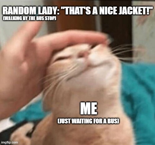 Cat being pet | RANDOM LADY: "THAT'S A NICE JACKET!"; (WALKING BY THE BUS STOP); ME; (JUST WAITING FOR A BUS) | image tagged in cat being pet,memes | made w/ Imgflip meme maker