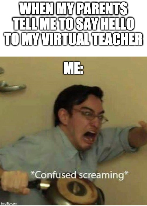 god no dont make me | WHEN MY PARENTS TELL ME TO SAY HELLO TO MY VIRTUAL TEACHER; ME: | image tagged in confused screaming | made w/ Imgflip meme maker