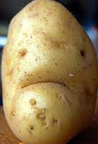 potato face Blank Meme Template