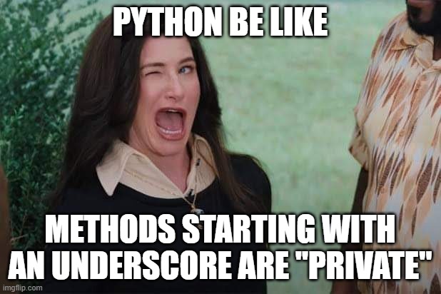 Python be like : r/ProgrammerHumor