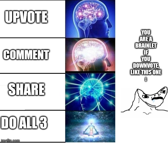 Also follow me to become an intergalactic lord | UPVOTE; YOU ARE A BRAINLET IF YOU DOWNVOTE, LIKE THIS ONE
⬇; COMMENT; SHARE; DO ALL 3 | image tagged in memes,expanding brain,blank white template | made w/ Imgflip meme maker