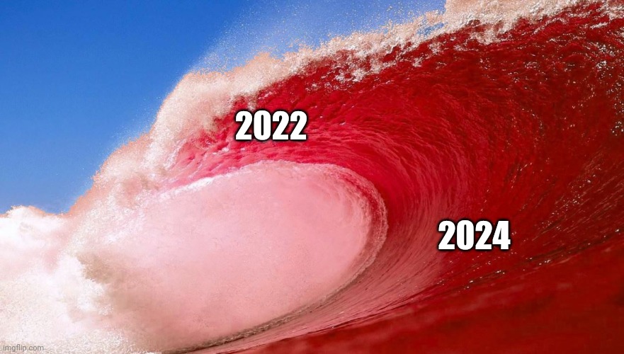 The red wave is coming | 2022; 2024 | image tagged in 2022 | made w/ Imgflip meme maker