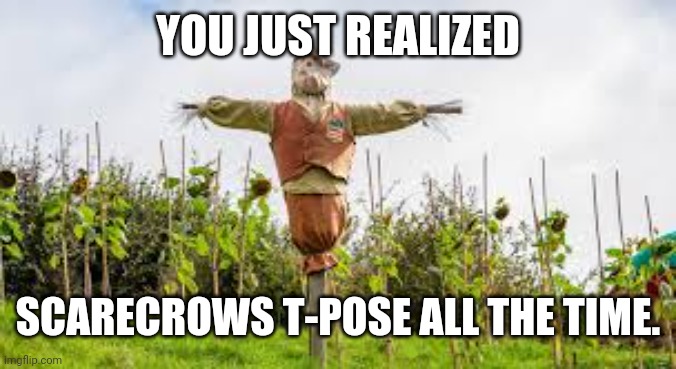 They are superior. |  YOU JUST REALIZED; SCARECROWS T-POSE ALL THE TIME. | image tagged in scarecrow | made w/ Imgflip meme maker
