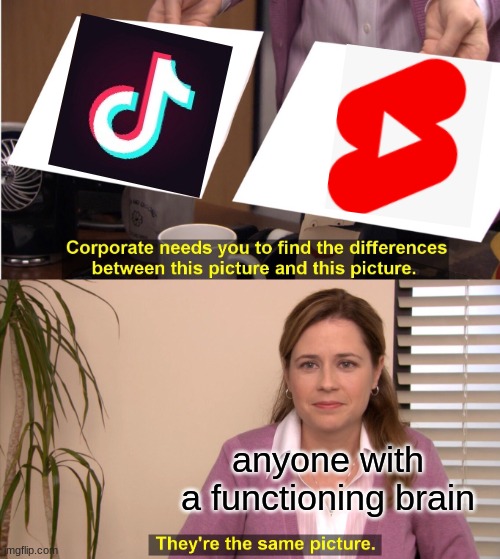 They're The Same Picture Meme | anyone with a functioning brain | image tagged in memes,they're the same picture | made w/ Imgflip meme maker