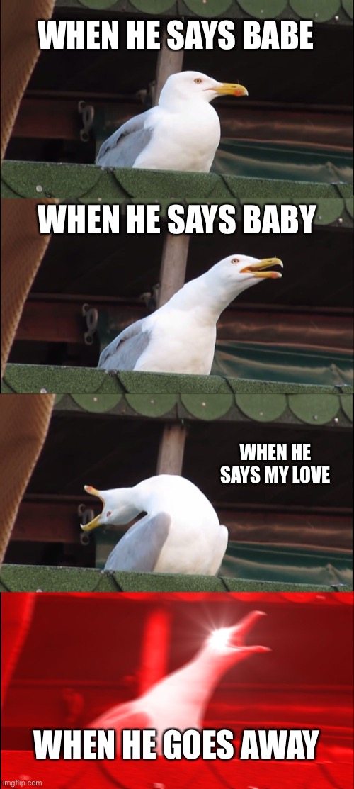 When he | WHEN HE SAYS BABE; WHEN HE SAYS BABY; WHEN HE SAYS MY LOVE; WHEN HE GOES AWAY | image tagged in memes,inhaling seagull | made w/ Imgflip meme maker