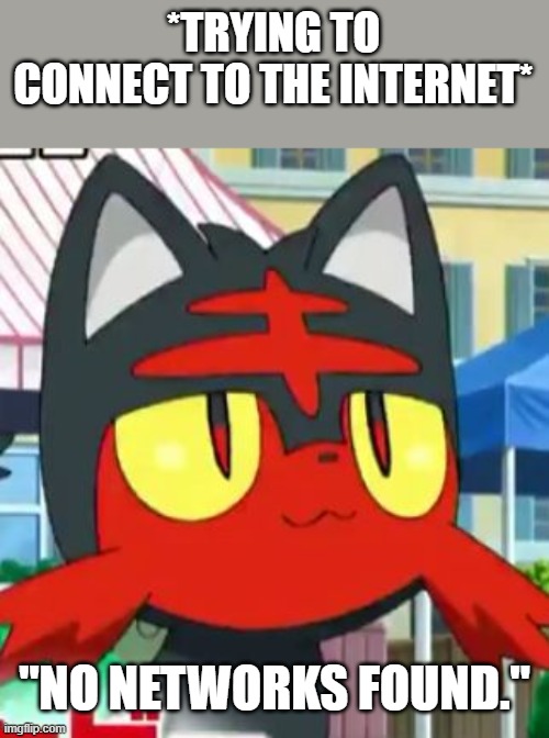 Litten | *TRYING TO CONNECT TO THE INTERNET*; "NO NETWORKS FOUND." | image tagged in litten | made w/ Imgflip meme maker