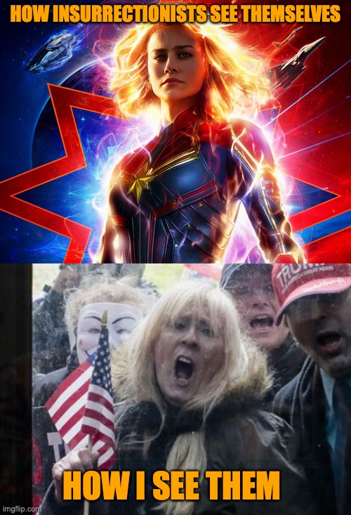 HOW INSURRECTIONISTS SEE THEMSELVES; HOW I SEE THEM | image tagged in captain marvel racist,trump michigan protesters | made w/ Imgflip meme maker