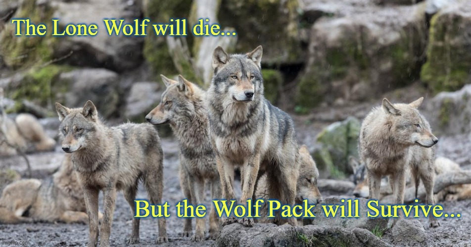 Lone Wolf mentality | The Lone Wolf will die... But the Wolf Pack will Survive... | image tagged in wolves,wolfpack,pack of wolves,wolf | made w/ Imgflip meme maker