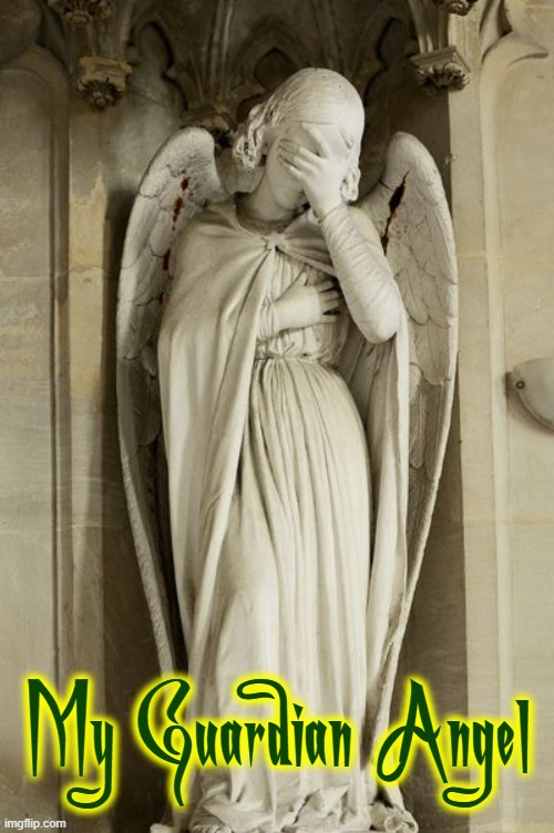 Stumbling thru Life hasn't been all that embarrassing for me | My Guardian Angel | image tagged in vince vance,guardian angel,memes,embarrassed,statue,face palm | made w/ Imgflip meme maker