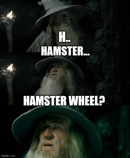 Confused Gandalf Meme | H.. HAMSTER... HAMSTER WHEEL? | image tagged in memes,confused gandalf | made w/ Imgflip meme maker