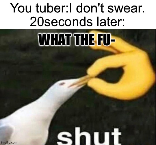 SHUT | You tuber:I don't swear.

20seconds later:; WHAT THE FU- | image tagged in shut | made w/ Imgflip meme maker