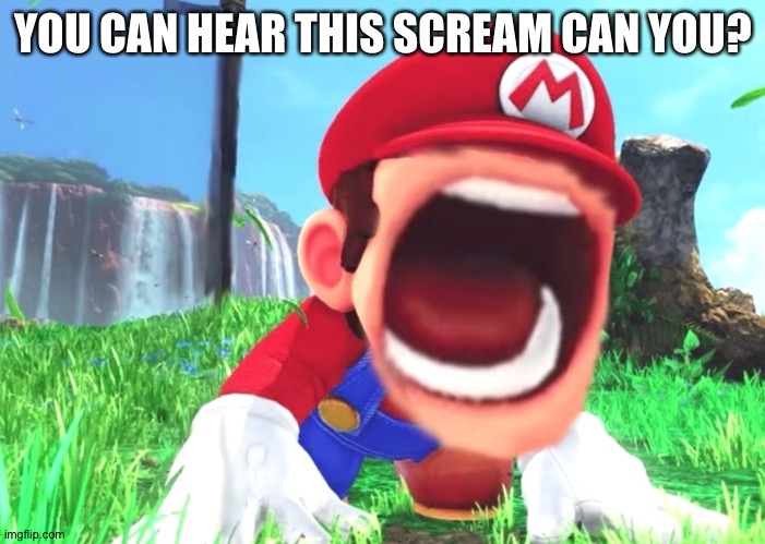Mario screaming | YOU CAN HEAR THIS SCREAM CAN YOU? | image tagged in mario screaming | made w/ Imgflip meme maker