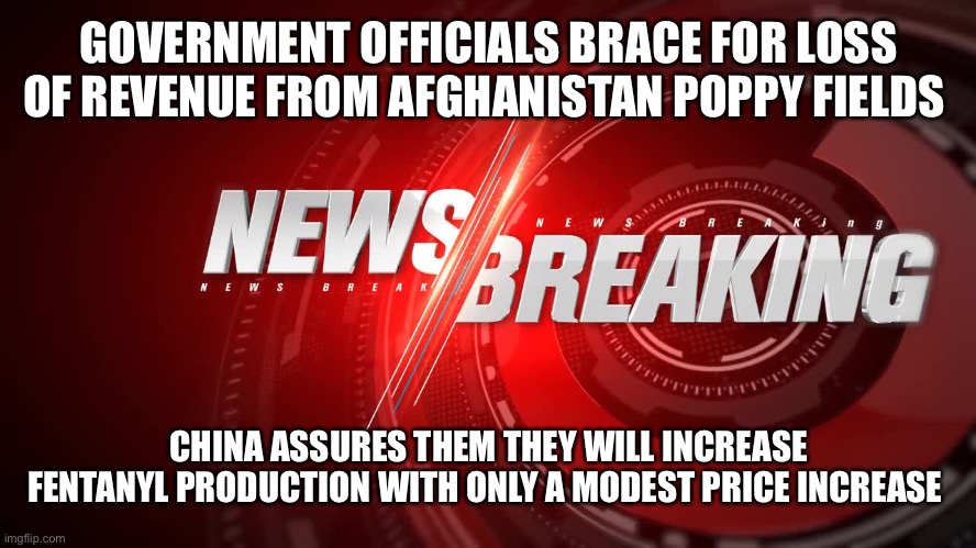 GOVERNMENT OFFICIALS BRACE FOR LOSS OF REVENUE FROM AFGHANISTAN POPPY FIELDS; CHINA ASSURES THEM THEY WILL INCREASE FENTANYL PRODUCTION WITH ONLY A MODEST PRICE INCREASE | made w/ Imgflip meme maker
