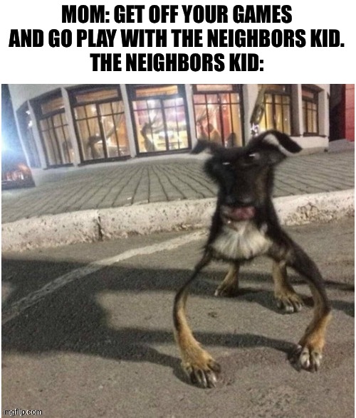 Credit to who-am-I for this image |  MOM: GET OFF YOUR GAMES AND GO PLAY WITH THE NEIGHBORS KID.
THE NEIGHBORS KID: | image tagged in wonky dog,who am i,i am the dumbest man alive,the neighbors kid,memes,like wow scoob people are reading these tags | made w/ Imgflip meme maker