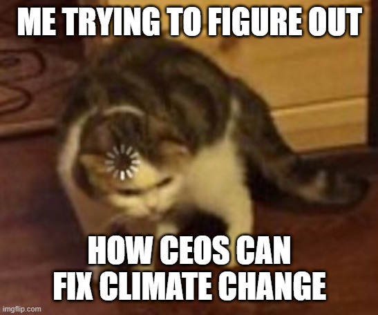 I've noticed this push toward yelling about CEOs needing to fix... climate change. | ME TRYING TO FIGURE OUT; HOW CEOS CAN FIX CLIMATE CHANGE | image tagged in loading cat | made w/ Imgflip meme maker