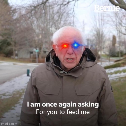Bernie I Am Once Again Asking For Your Support Meme | For you to feed me | image tagged in memes,bernie i am once again asking for your support | made w/ Imgflip meme maker