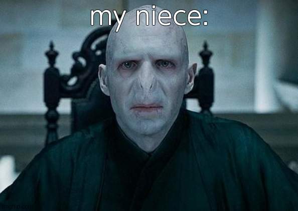 Lord Voldemort | my niece: | image tagged in lord voldemort | made w/ Imgflip meme maker