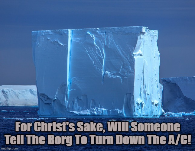 Frozen Borg | For Christ's Sake, Will Someone Tell The Borg To Turn Down The A/C! | image tagged in borg | made w/ Imgflip meme maker