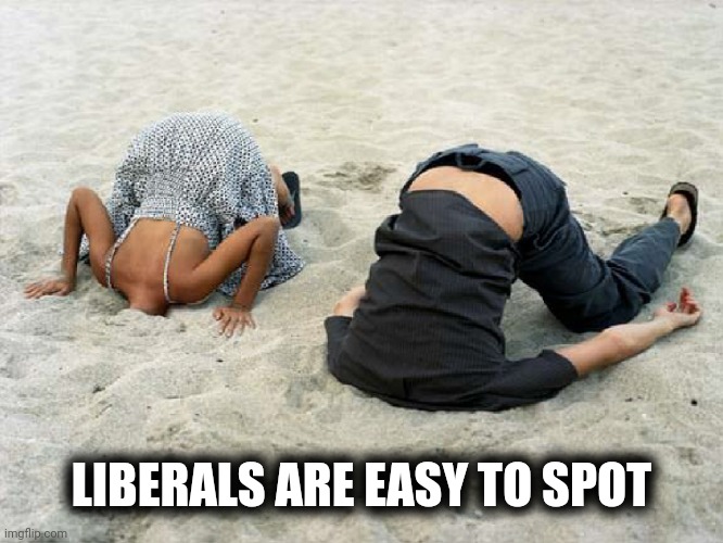 Heads in Sand | LIBERALS ARE EASY TO SPOT | image tagged in heads in sand | made w/ Imgflip meme maker