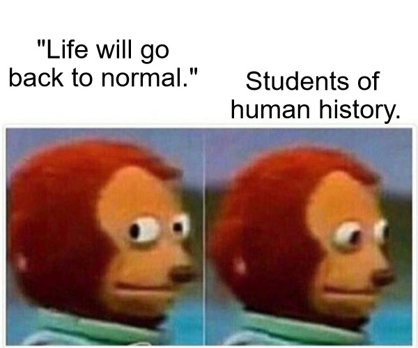 Searching for Normalcy | Students of 
human history. "Life will go back to normal." | image tagged in memes,monkey puppet,human behavior,history of the world,new normal,old normal | made w/ Imgflip meme maker