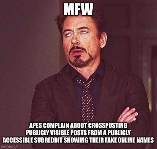 Robert Downey Jr rolling eyes | MFW; APES COMPLAIN ABOUT CROSSPOSTING PUBLICLY VISIBLE POSTS FROM A PUBLICLY ACCESSIBLE SUBREDDIT SHOWING THEIR FAKE ONLINE NAMES | image tagged in robert downey jr rolling eyes | made w/ Imgflip meme maker