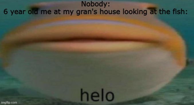who else | Nobody:
6 year old me at my gran's house looking at the fish: | image tagged in helo | made w/ Imgflip meme maker