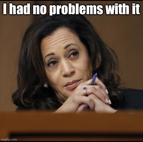 Kamala Harris  | I had no problems with it | image tagged in kamala harris | made w/ Imgflip meme maker