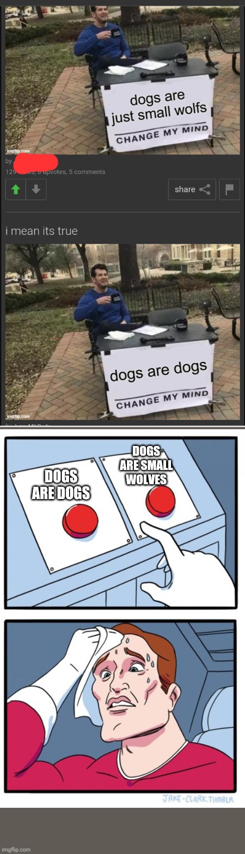 ? Both are right? | DOGS ARE SMALL WOLVES; DOGS ARE DOGS | image tagged in dogs,memes,funny memes,two buttons | made w/ Imgflip meme maker