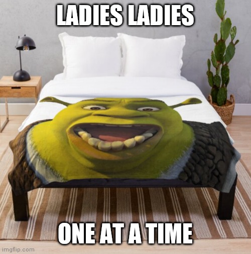 LADIES LADIES; ONE AT A TIME | made w/ Imgflip meme maker