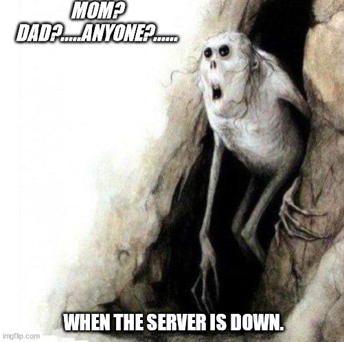 Server is down Anyone home? | MOM? DAD?.....ANYONE?...... WHEN THE SERVER IS DOWN. | image tagged in server,server down | made w/ Imgflip meme maker