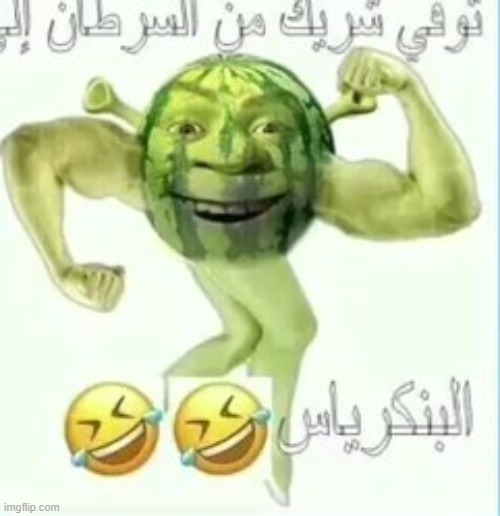 MELONEK | image tagged in arab,shrek | made w/ Imgflip meme maker