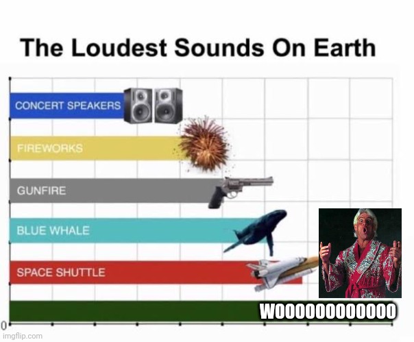 Wooooooooooo | WOOOOOOOOOOOO | image tagged in the loudest sounds on earth | made w/ Imgflip meme maker