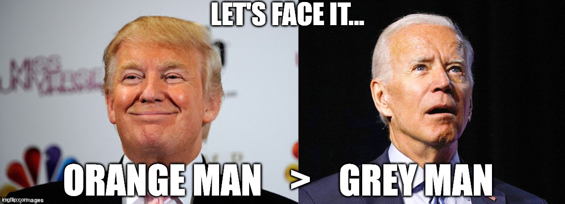 LET'S FACE IT... ORANGE MAN    >    GREY MAN | image tagged in donald trump approves,joe biden | made w/ Imgflip meme maker