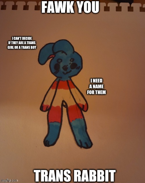 TRANS RABBIT | I CAN'T DECIDE IF THEY ARE A TRANS GIRL OR A TRANS BOY; I NEED A NAME FOR THEM | made w/ Imgflip meme maker
