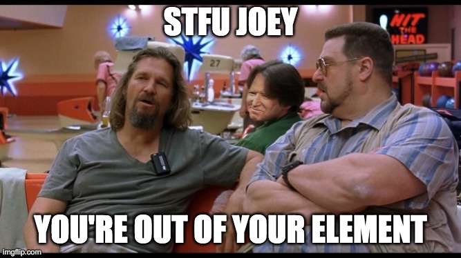 STFU JOEY YOU'RE OUT OF YOUR ELEMENT | made w/ Imgflip meme maker