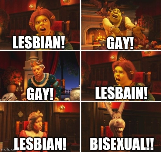 Just LGBTQ stuff | LESBIAN! GAY! LESBAIN! GAY! BISEXUAL!! LESBIAN! | image tagged in shrek fiona harold donkey | made w/ Imgflip meme maker