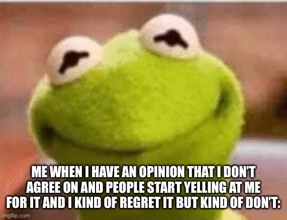 ME WHEN I HAVE AN OPINION THAT I DON’T AGREE ON AND PEOPLE START YELLING AT ME FOR IT AND I KIND OF REGRET IT BUT KIND OF DON’T: | made w/ Imgflip meme maker