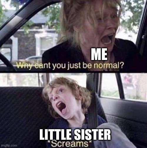 Why Can't You Just Be Normal | ME; LITTLE SISTER | image tagged in why can't you just be normal | made w/ Imgflip meme maker
