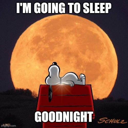 Goodnight | I'M GOING TO SLEEP; GOODNIGHT | image tagged in goodnight | made w/ Imgflip meme maker