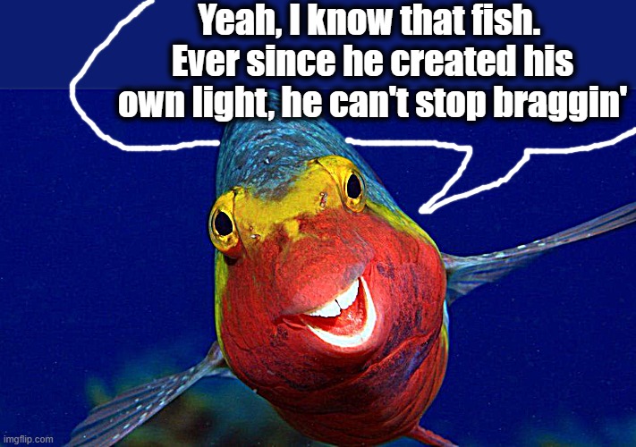 Yeah, I know that fish.  Ever since he created his own light, he can't stop braggin' | made w/ Imgflip meme maker