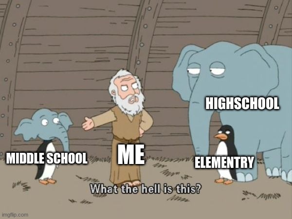 me rn ngl | HIGHSCHOOL; ME; ELEMENTRY; MIDDLE SCHOOL | image tagged in what the hell is this | made w/ Imgflip meme maker