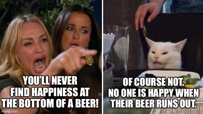 Well, duh … | YOU’LL NEVER FIND HAPPINESS AT THE BOTTOM OF A BEER! OF COURSE NOT.
NO ONE IS HAPPY WHEN THEIR BEER RUNS OUT. | image tagged in angry lady cat,beer | made w/ Imgflip meme maker