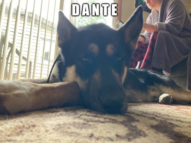 Dante :D | D A N T E | made w/ Imgflip meme maker
