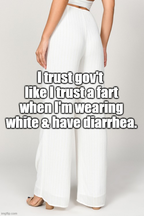 Do you trust government | I trust gov't  like I trust a fart when I'm wearing white & have diarrhea. | image tagged in like i trust a fart when i'm wearing a white suit and have diar | made w/ Imgflip meme maker